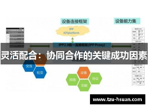 灵活配合：协同合作的关键成功因素